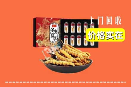 无锡市滨湖回收冬虫夏草